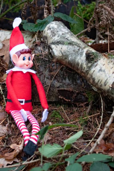 25 easy elf on the shelf ideas