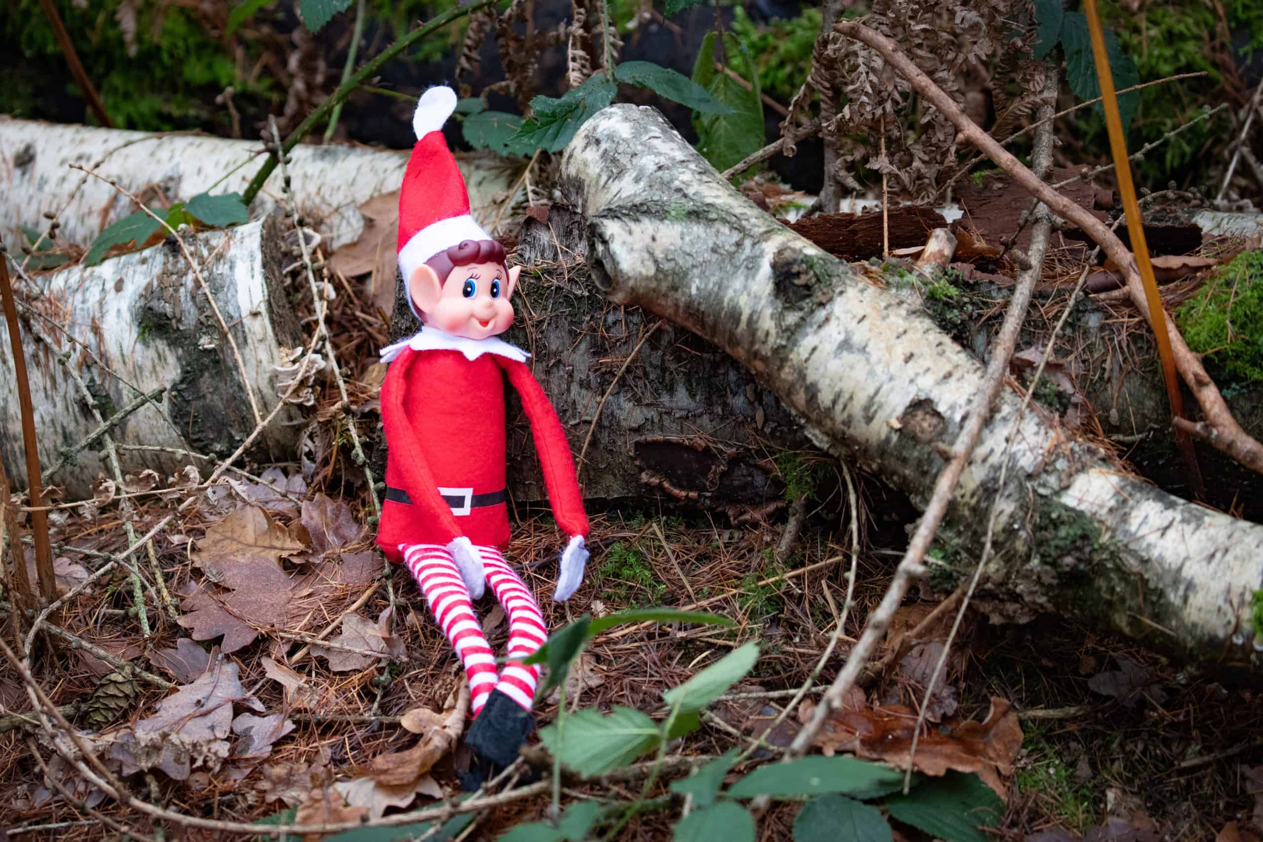 25 easy elf on the shelf ideas